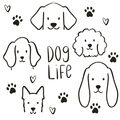 Image Not Available